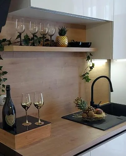 Apartament Luxury Oasis *